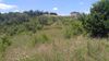 000 Carmichael Rd photo